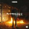 Pochette Gardna - Playing With Fire Gardna - Playing With Fire