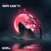 Pochette Miyuki - Why Can´t I Miyuki - Why Can´t I