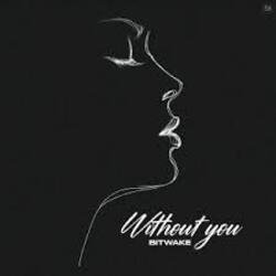 Pochette Bitwake - Promises