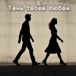 Pochette Тень твоей любви