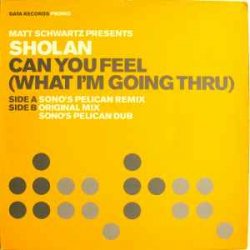 Pochette Matt Schwartz pres. Sholan - Can You Feel