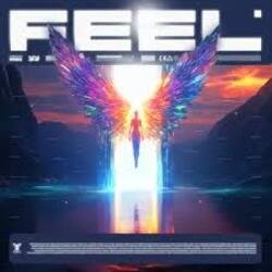 Pochette MIRIDON - Feel