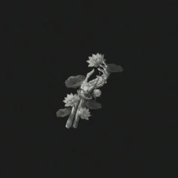 Pochette John Michael Howell & JVKE & ZVC - A Thousand Year