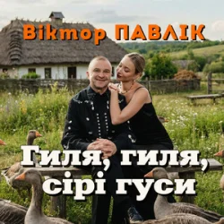 Pochette Віктор Павлік - Гиля, гиля, сірі гуси