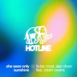 Pochette fa bé & mOat & Alan Dixon & Robert Owens - She Sees Only Sunshine