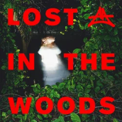 Pochette Elderbrook & Adriatique - Lost In The Woods