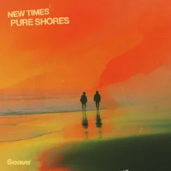 Pochette New Times - Pure Shores