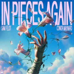 Pochette Sam Feldt & Conor Maynard - In Pieces Again