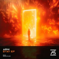 Pochette Divinsity - Ashes to Anthem (Hardstyle)