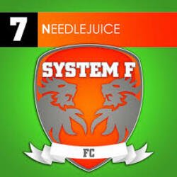 Pochette System F - Needlejuice