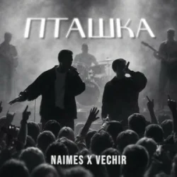 Pochette NAIMES & VECHIR - пташка (KARMV REMIX)