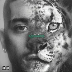 Pochette ZAYN - Die For Me