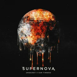 Pochette Sam Tinnesz & UNSECRET - Supernova