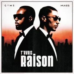 Pochette GIMS & Maes - T'avais raison