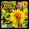 Pochette Yves LaRock & Jaba - Rise Up Yves LaRock & Jaba - Rise Up