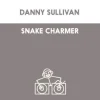 Pochette Danny Sullivan - Shake Charmer Danny Sullivan - Shake Charmer