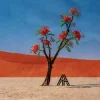 Axel Thesleff - Ashoka