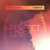 Pochette Krist Van D & Terri B! - Perfect Love Krist Van D & Terri B! - Perfect Love