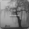 Pochette DNDM - Not Mine (Extended) DNDM - Not Mine (Extended)
