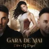 Pochette Petra & DJ Project - Gara de mai (Adrian Funk & OLiX Remix) Petra & DJ Project - Gara de mai (Adrian Funk & OLiX Remix)