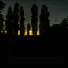 Pochette ALEKCION - І я біжу ALEKCION - І я біжу