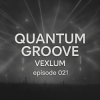 Pochette Vexlum - Quantum Groove 021 Vexlum - Quantum Groove 021