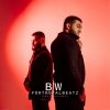 Pochette BW & FORTROYALBEATZ - Тень BW & FORTROYALBEATZ - Тень