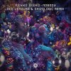 Pochette Psyko Disko - Nobody (Ace Ventura & Skizologic Remix) Psyko Disko - Nobody (Ace Ventura & Skizologic Remix)