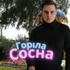 Friends in Kharkiv - Горіла сосна