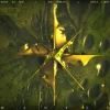 Pochette What So Not & The Upbeats - Wanted What So Not & The Upbeats - Wanted