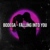 Pochette Bodega - Falling Into You Bodega - Falling Into You