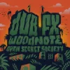 Pochette Dub FX & Mr Woodnote - COME AGAIN (feat. Prezence) Dub FX & Mr Woodnote - COME AGAIN (feat. Prezence)