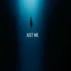 Pochette Vibfy - Just Me Vibfy - Just Me