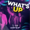 Pochette DJ Kantik - What's Up DJ Kantik - What's Up