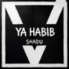 Pochette SHADU - Al Noor SHADU - Al Noor