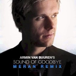 Pochette Armin van Buuren - The Sound Of Goodbye (Radio Edit)
