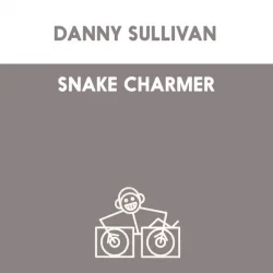 Pochette Danny Sullivan - Shake Charmer