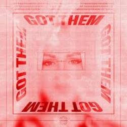 Pochette Dominique Jardin - Got Them