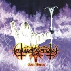Pochette Nokturnal Mortum - Unholy Orathania