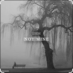 Pochette DNDM - Not Mine (Extended)