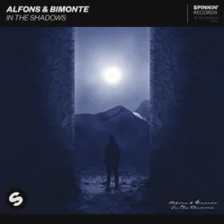 Pochette Alfons & BIMONTE - In the shadows