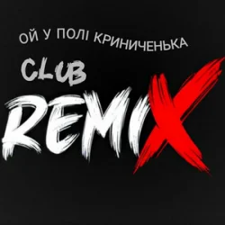 Pochette Miha Danilchuk - Ой у полі Криниченька (Club Remix)