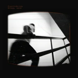 Pochette Electrobirds - Вітер, неси