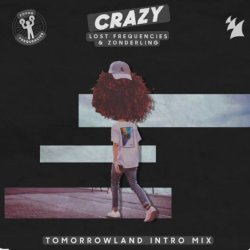 Pochette Lost Frequencies & Zonderling - Crazy