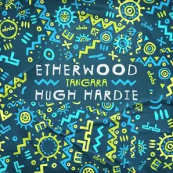 Pochette Etherwood & Hugh Hardie - TANGARA (Mixed)