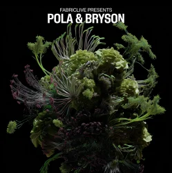 Pochette Pola & Bryson - Insomnia (Mixed)