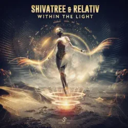 Pochette Shivatree - Divine Inspiration (Original Mix)