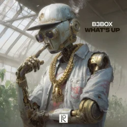 Pochette B3BOX - Whats Up