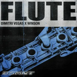 Pochette Dimitri Vegas & WINSON - Flute