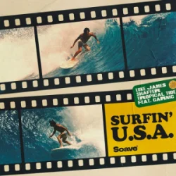 Pochette Luke James Shaffer & Tropical Tide & Garnic - Surfin' U.S.A